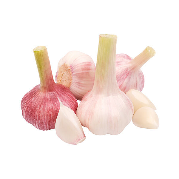 Чеснок молодой