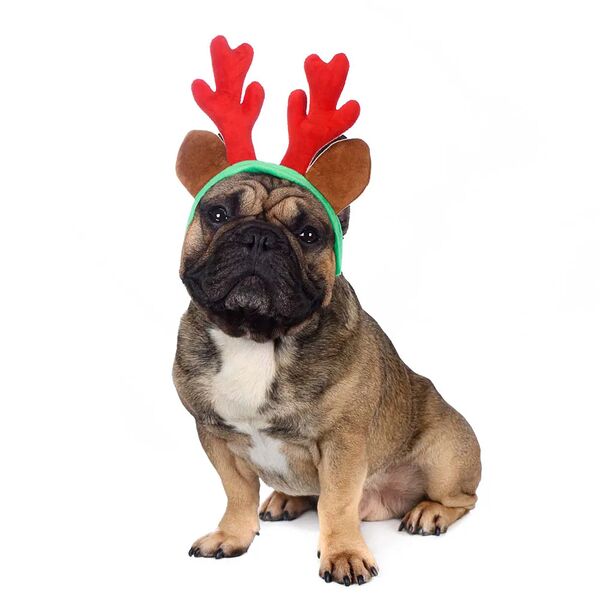 Ободок безразмерный для собак и кошек Рога оленьи малые красный (унисекс)