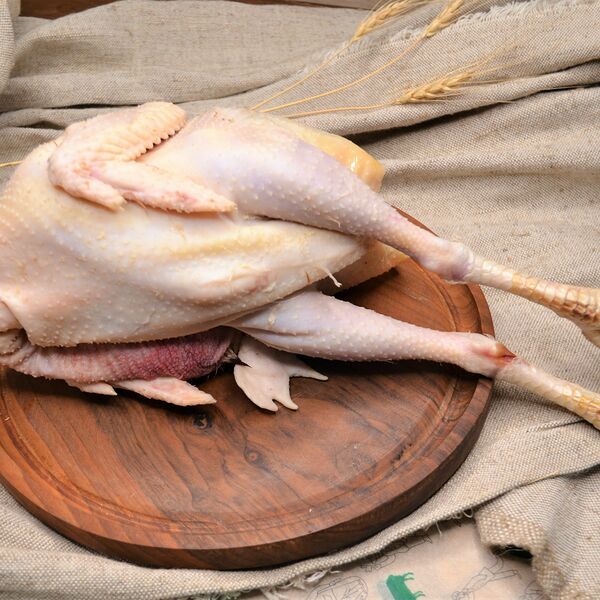 Петух суповой