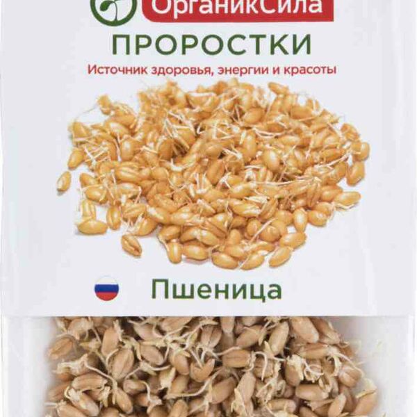 Проростки Пшеница ОрганикСила