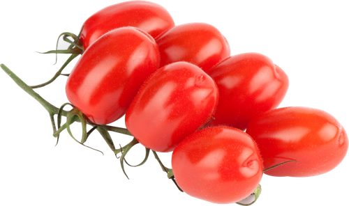 

Томат на ветке сливовидный красный