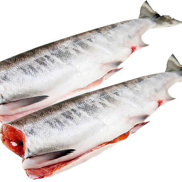 Кета потрошеная обезглавленная (из замороженного сырья) до 1.8 кг