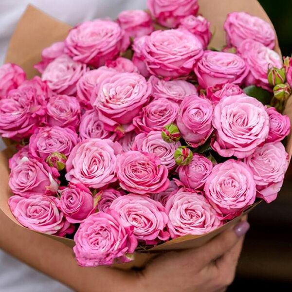 Леди Бомбастик