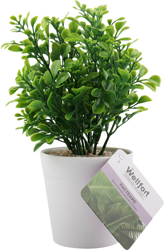 Искусственное растение в горшке с заливкой камни 24 см