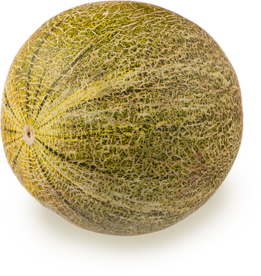 Дыня  Колхозница вес. до 2.0 кг