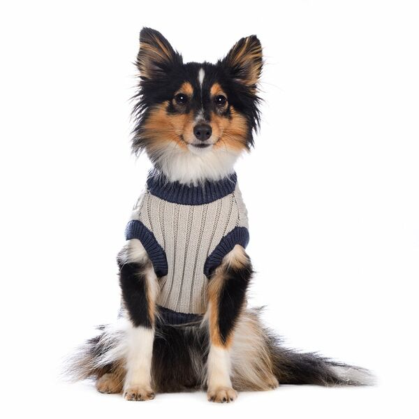 Свитер для собак 2XL голубой (унисекс)