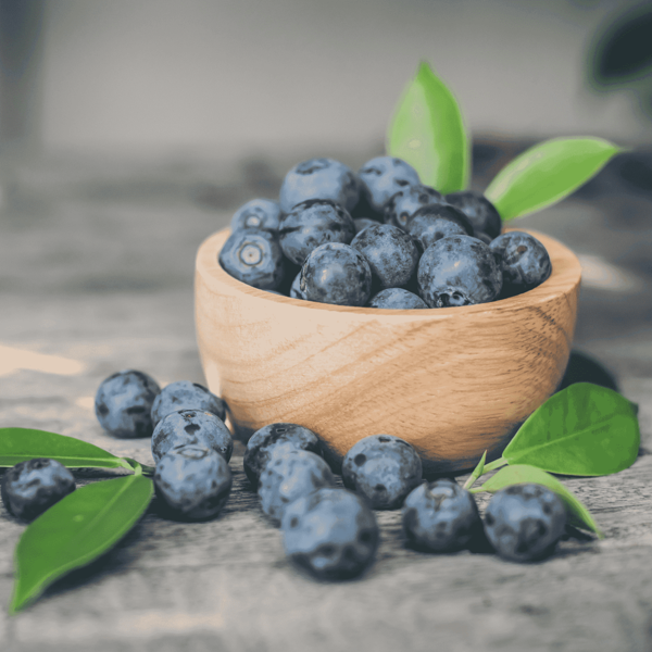 Черника лесная