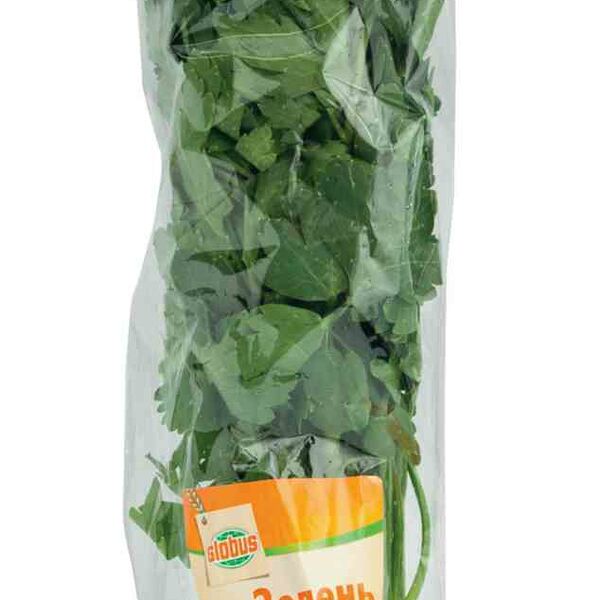 Петрушка Глобус