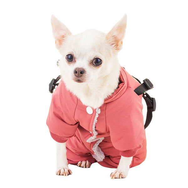 Комбинезон со шлейкой для собак XS малиновый (девочка)