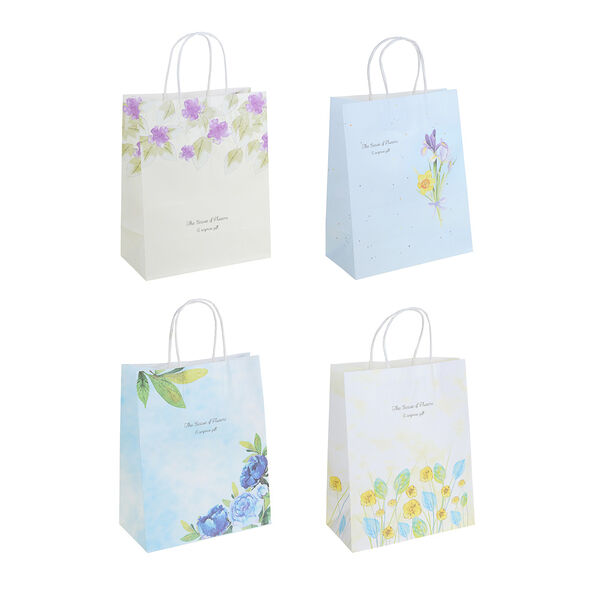 Ladecor пакет подарочный, бумажный, 22x27x11 см, 4 дизайна, растения