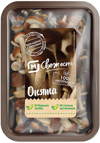 Грибы Опята