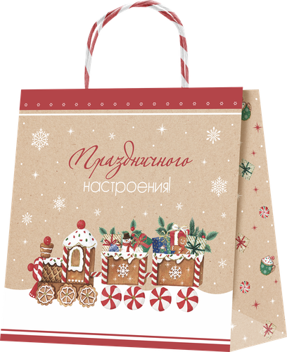 

Пакет подарочный Magic, крафт, большой, плюс, 26х26х10см Арт. KLP, в ассортименте