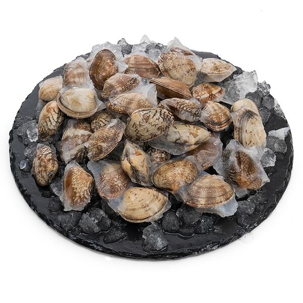 Вонголе на створках 500г