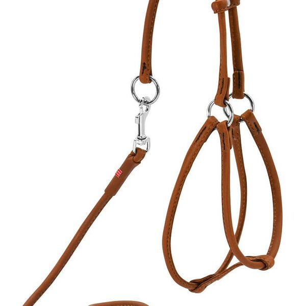 Collar шлея кожаная Waudog Soft №1 круглая, с поводком Черный