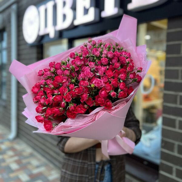 Черио Хеопс х19