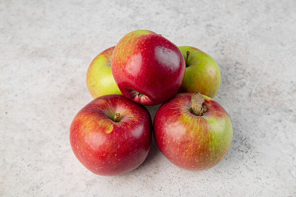 Яблоко Спартан