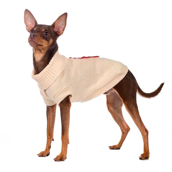 Свитер для собак Дракоша 55см 4XL (унисекс)