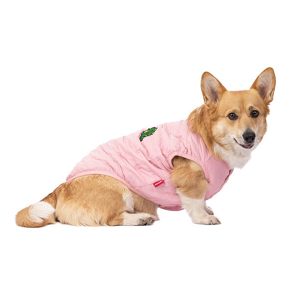 Жилетка для собак с дракошей 4XL (унисекс)