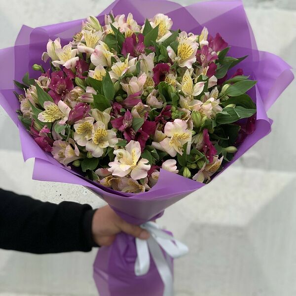 Альстромерия микс