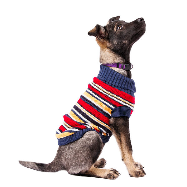 Свитер для собак в полоску 40см XL красный (унисекс)