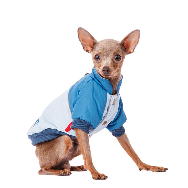 Куртка для собак XS голубой (унисекс)