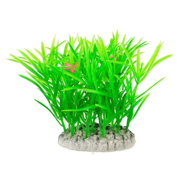 AquaFantasy Растение куст зеленое с цветками 8см