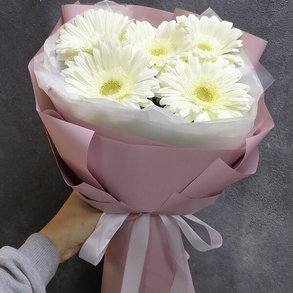 5 гербер стильно