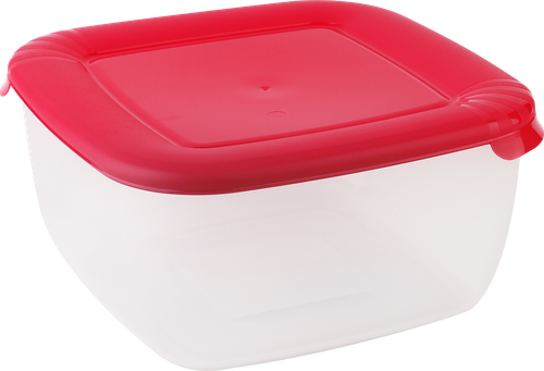 

Контейнер 365 дней пластик 2.5 л