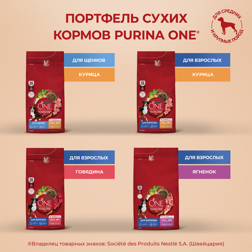 

Сухой корм Purina One® для взрослых собак средних и крупных пород, с высоким содержанием курицы и с рисом, пакет, 1.8 кг
