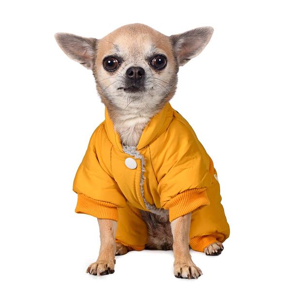 Комбинезон для собак King 2XL желтый (унисекс)