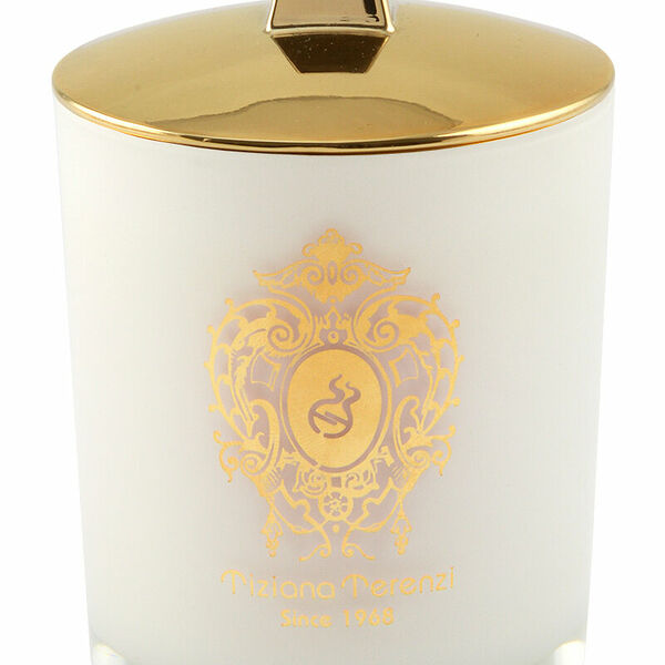 TIZIANA TERENZI Gioconda Свеча с ароматом духов White Fire в белом стекле деревянный фитиль, 170 г