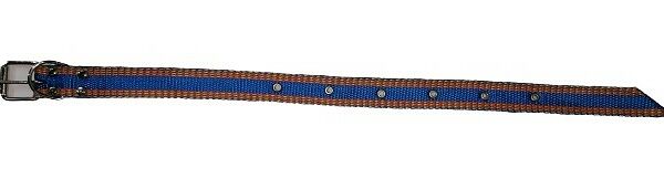 Зооник ошейник стропа для щенков 25 мм. * (30-50) см.