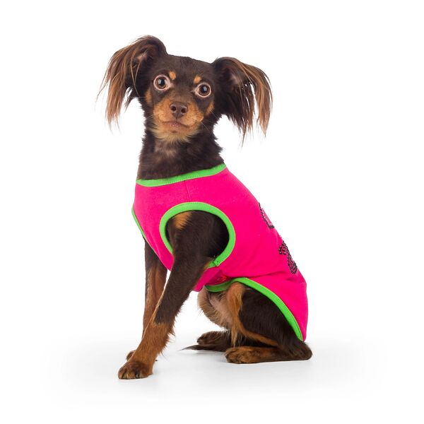 Футболка для собак L малиновый (унисекс)