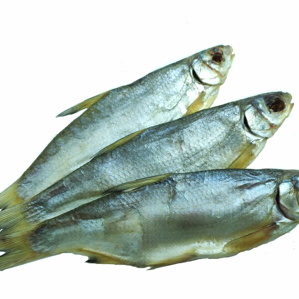 Рыбец вяленый крупный 20-25 см