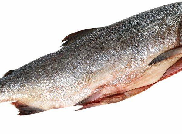 Горбуша тихоокеанская потрошеная с головой вес