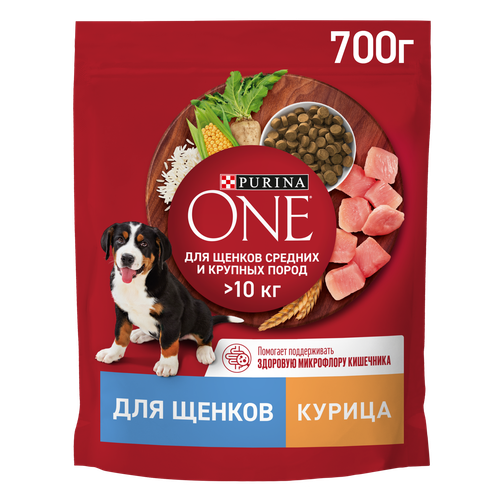 

Сухой корм для щенков Purina One для средних и крупных пород с курицей и рисом 700 г
