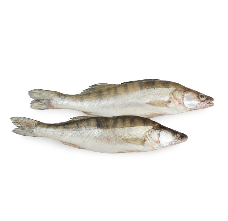 

Судак охлажденный 500/1, вес