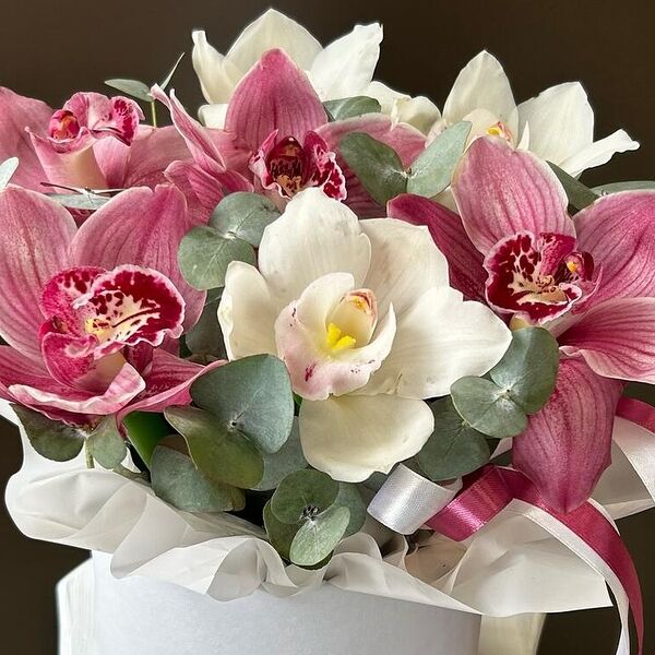 Композиция в коробке из шикарных стойких орхидей цимбидиум