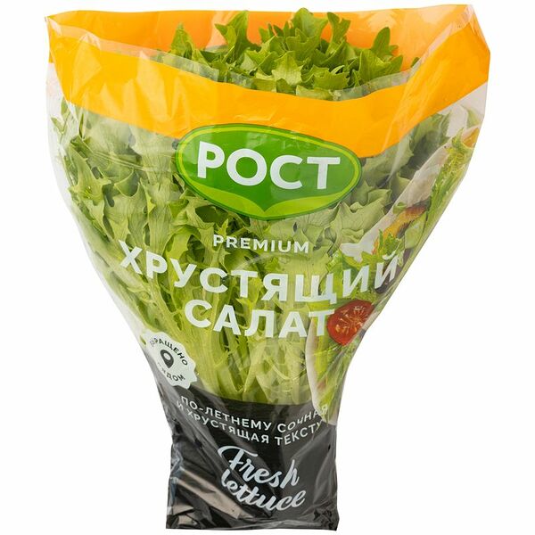 Салат Кудрявый в горшке, 1шт