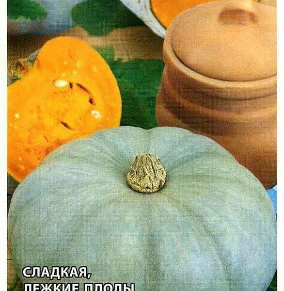 Семена Тыква Крошка ТМ Удачные семена