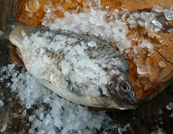 Карп охлаждённый