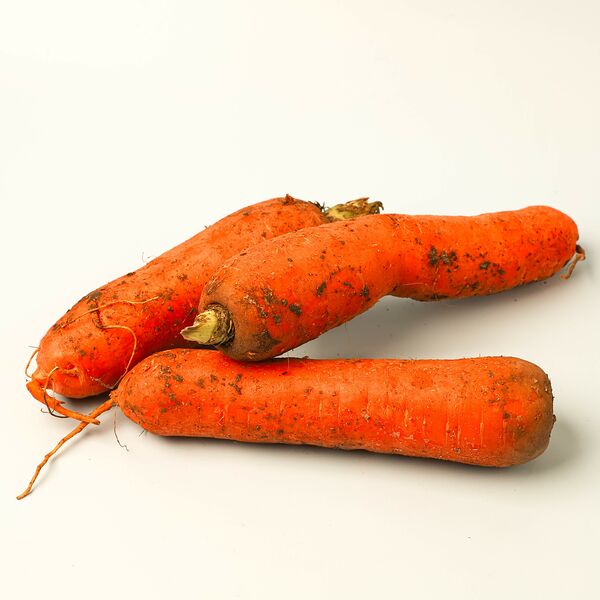 Морковка сладкая