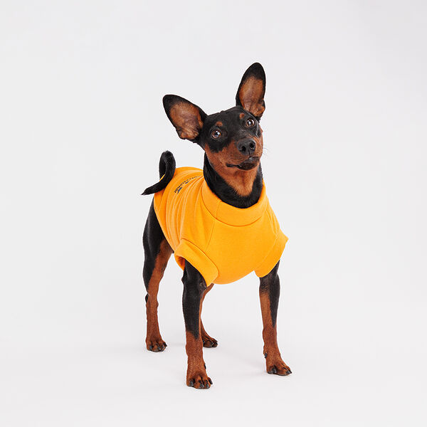 Толстовка для собак, L, желтая