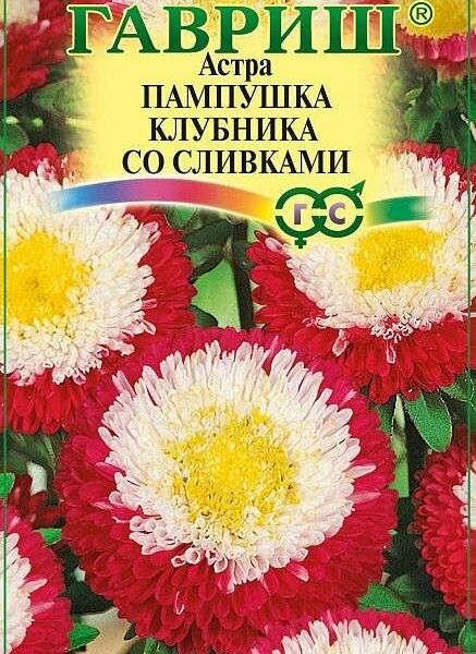 Семена астра - пампушка клубника со сливками однолетняя помпонная ТМ Гавриш
