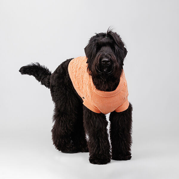 Свитер из шенилла для кошек и собак, 6XL, персиковый