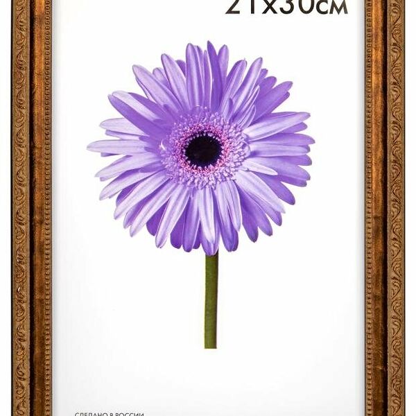 Фоторамка Daniella бронза, 21x30 см