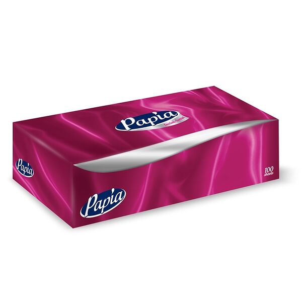 Салфетки бумажные Papia в коробке 2-слойные 100 шт