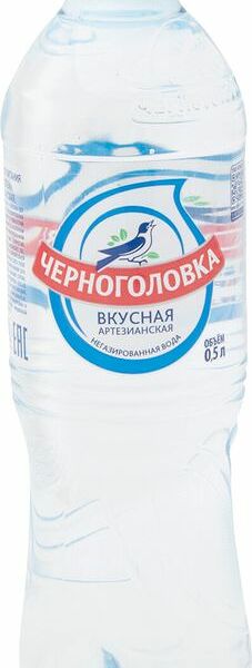 Вода негазированная Черноголовка 0.5л