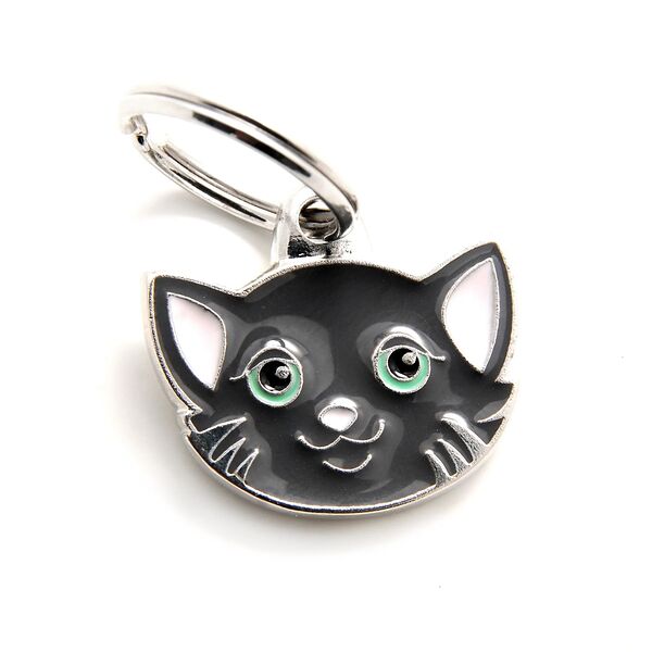 Адресник для кошки чёрно-белой средний Colors, цветной