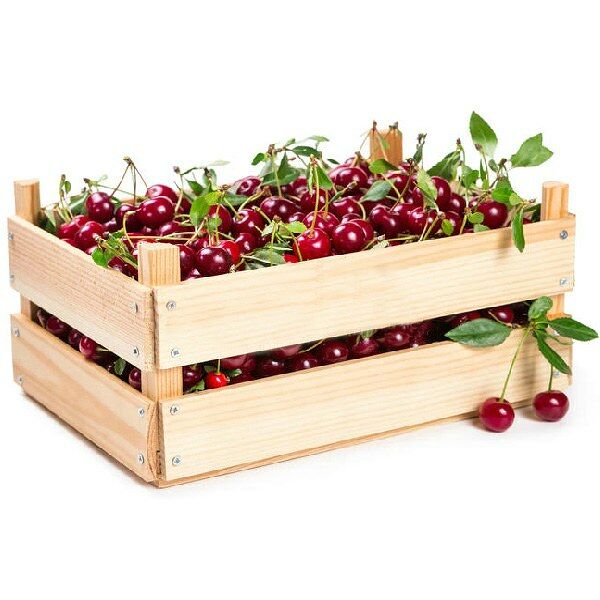 Вишня, ящик 5 кг